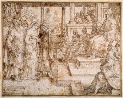 Susanna accusata dagli anziani da Maerten van Heemskerck