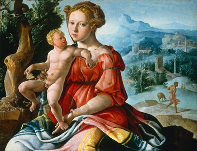 Il riposo durante la fuga in Egitto da Maerten van Heemskerck