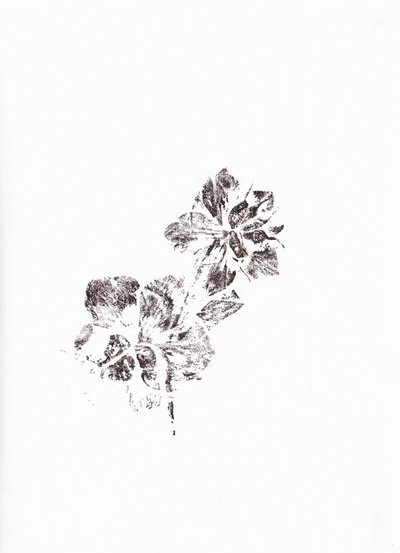 Impronte floreali astratte da Maira Ribena