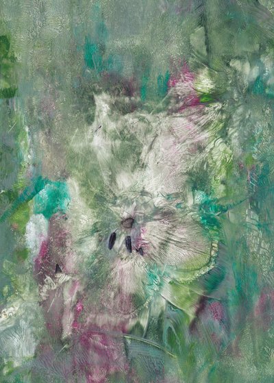 Abstract: Fioritura verde da Maira Ribena