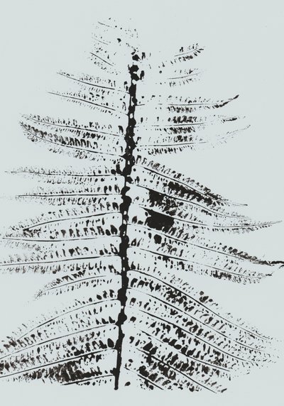 Black Ink Fern da Maira Ribena