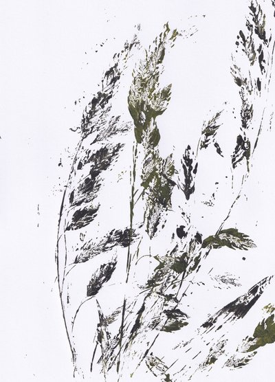 Stampa botanica con motivi erbacei da Maira Ribena