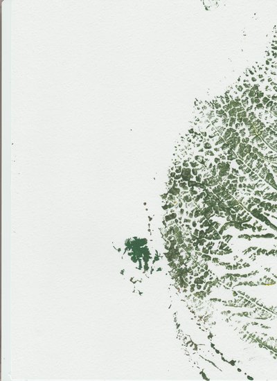 Stampa botanica con foglie da Maira Ribena