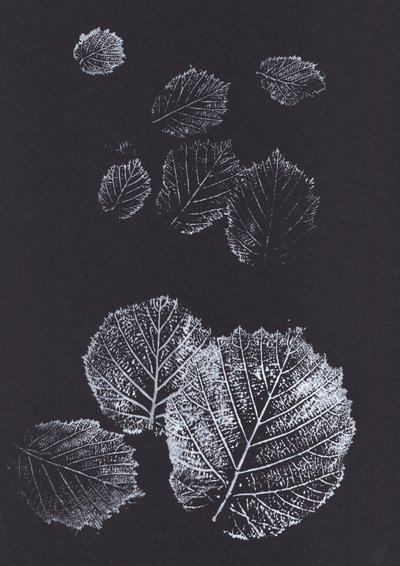 Stampe botaniche di foglie da Maira Ribena