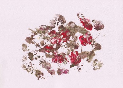 Note floreali terrose da Maira Ribena