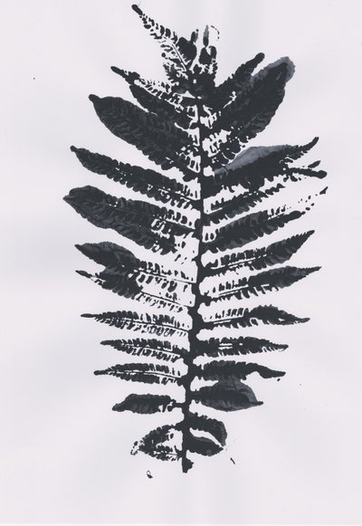Elegant Fern Leaf da Maira Ribena
