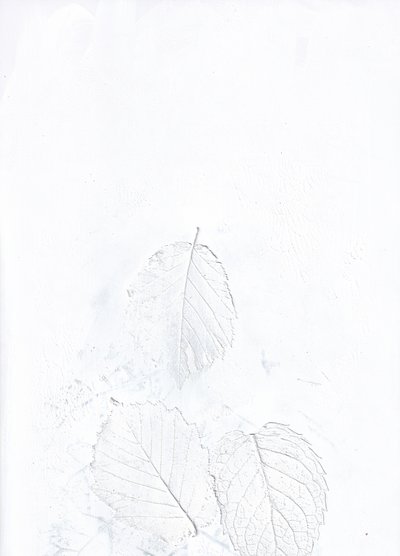 Foglie bianche eteree da Maira Ribena