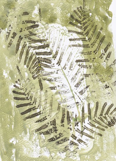 Impressioni di Green Fern da Maira Ribena
