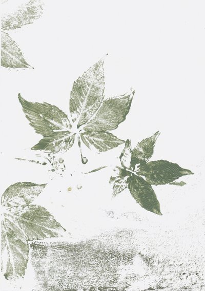 Impressioni di Green Leaf da Maira Ribena