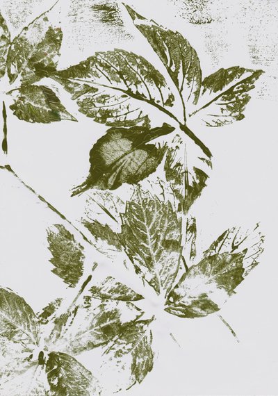 Stampe con foglie verdi da Maira Ribena