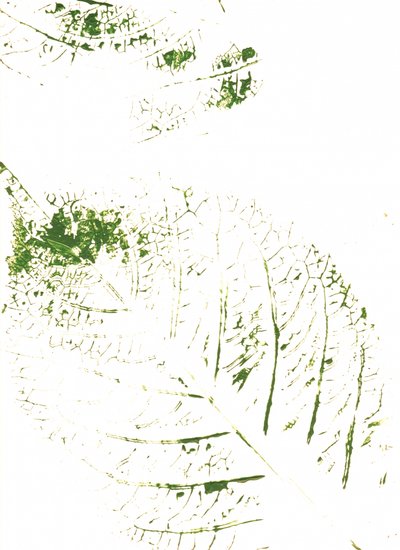Stampe con foglie verdi da Maira Ribena