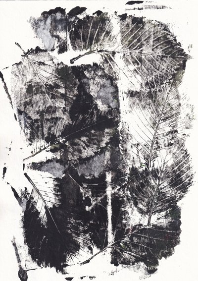 Impressioni botaniche monocromatiche da Maira Ribena