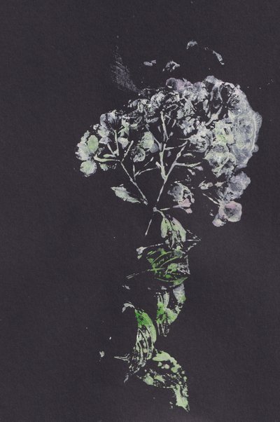 Moody Floral Impression da Maira Ribena