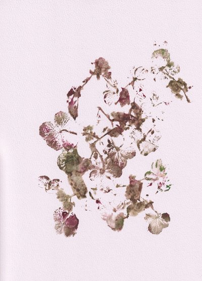 Delicate impronte botaniche da Maira Ribena