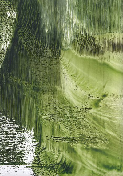 Flusso verde biologico da Maira Ribena