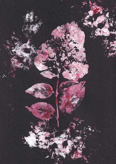 Impressione botanica rosa da Maira Ribena