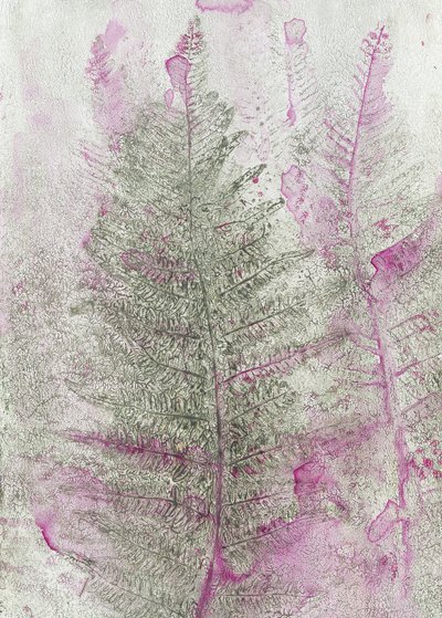 Impressioni di felci rosa da Maira Ribena