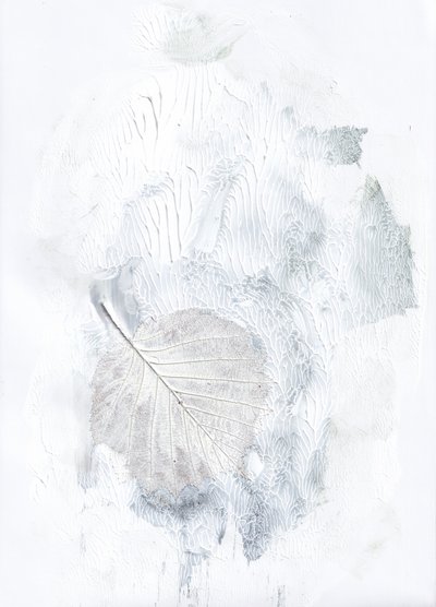 Delicate note botaniche da Maira Ribena
