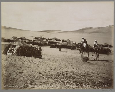 Accampamento con tende e cammelli nel deserto (probabilmente) dell