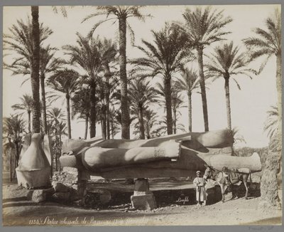Statua colossale di Ramses II a Menfi da Maison Bonfils