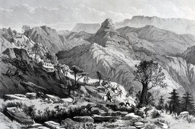 In marcia vicino a Dongolo, inciso da James Ferguson, 1868 da Major A.G.F. Hogg