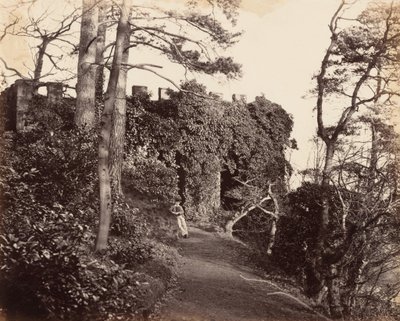 A Winterdyne sul Severn, 1860 (foto) da Major Francis Gresley