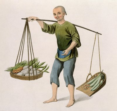 Un ragazzo con verdure, tavola 54 da 