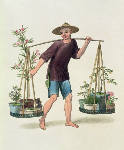 Un portatore con alberi da frutto e fiori, tavola 16 da 