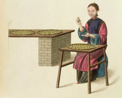 Una donna che prepara il tè, tavola 21 da 