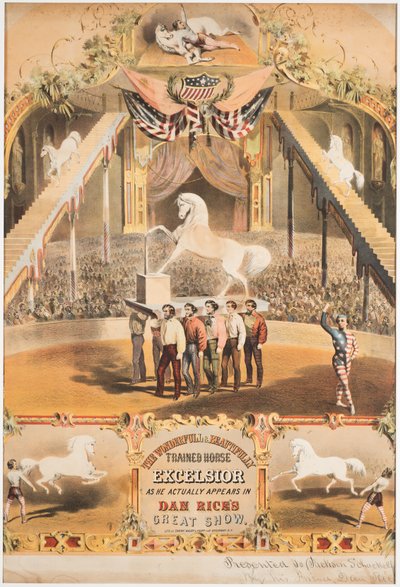Il meraviglioso e bellissimo cavallo addestrato Excelsior, c.1840 da Major and Knapp Sarony