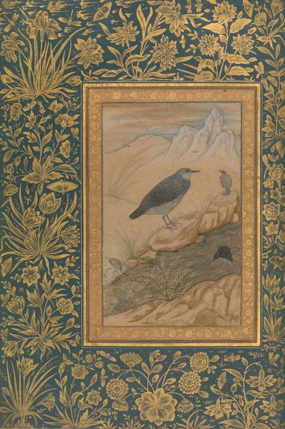 Tuffatore e altri uccelli, Folio dall