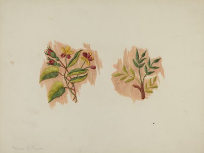 Frammento di sottogonna di seta da Manuel G. Runyan