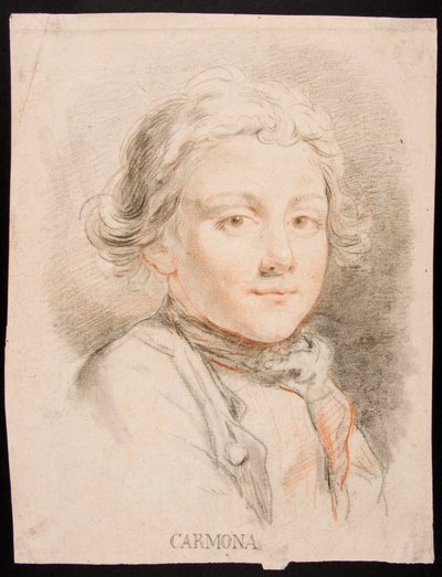 Ritratto di un ragazzo da Manuel Salvador Carmona