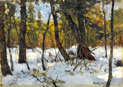 Bosco in inverno da Marc Aurele de Roy Suzor Cote