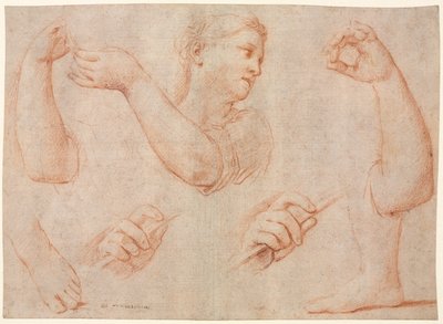 Studio di una giovane donna che suona un tamburello e studi di un braccio, mani e piedi (Studi per "Miriam che guida il coro delle donne che ringraziano per la sconfitta del Faraone") da Marcantonio Franceschini