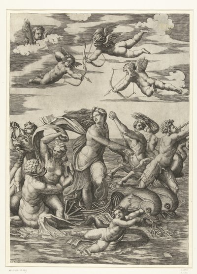 Trionfo di Galatea con tritoni e nereidi e putti da Marcantonio Raimondi
