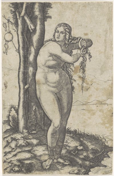 Venere sulla riva che strizza l