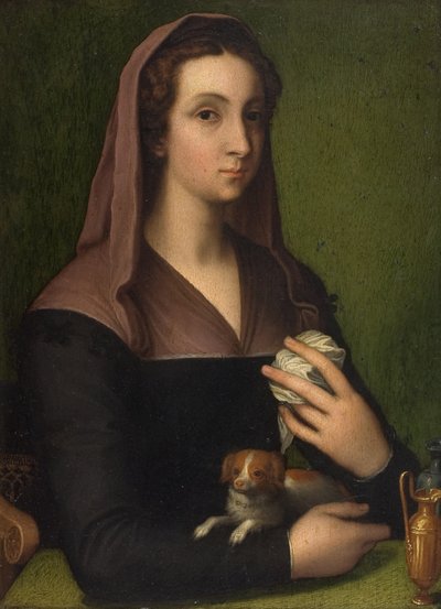 Ritratto di una signora da Marcello (follower of) Venusti