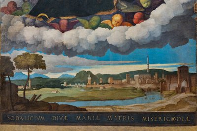 Dettaglio della città di Vicenza da Marcello Fogolino