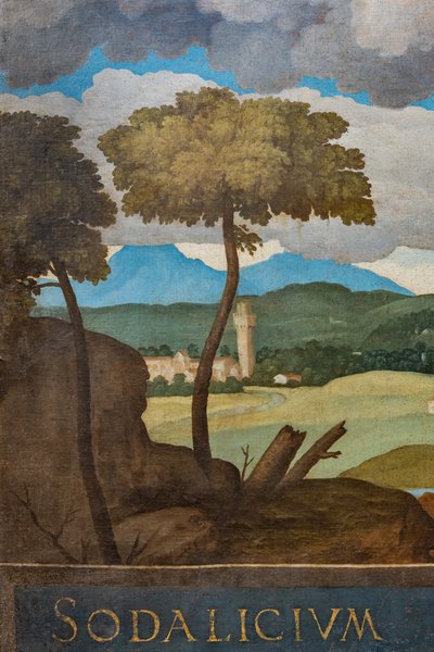Dettaglio della città di Vicenza da Marcello Fogolino