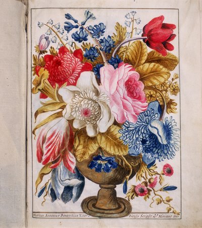 Illustrazione dalla "Bolla della Aggregazione auta dalla Venerabile Arciconfraternita di San Rocco a Roma" da Marco Antonio Binarelli