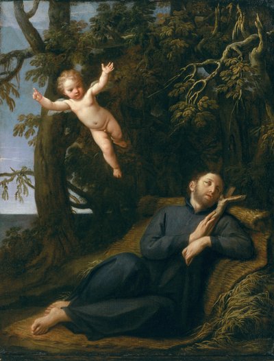 San Francesco nel deserto da Marcantonio Franceschini