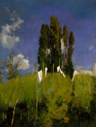 Prato di lavanderia, ultimo quarto del XIX secolo, di Marco Calderini, olio su tela. Italia da Marco Calderini