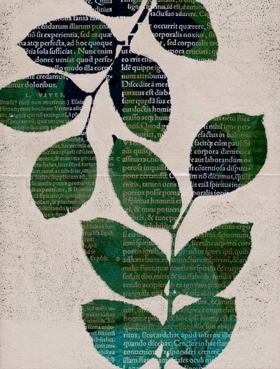 Foglie, 2024 (monotipo) da Marco Campedelli