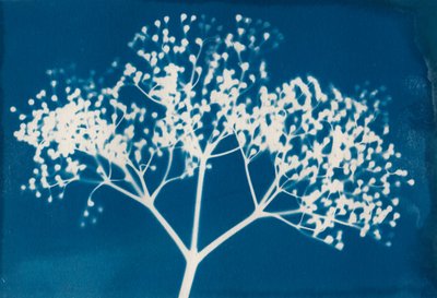 Lettere, 2014 (stampa xilografica su carta) da Marco Campedelli