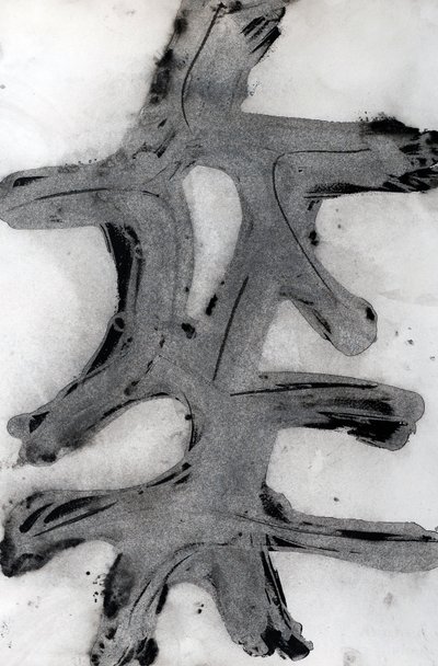 Ramas, 2014 (inchiostro su carta) da Marco Campedelli