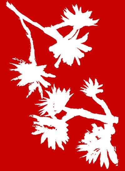 Succulenta_1, 2022 (inchiostro su carta) da Marco Campedelli