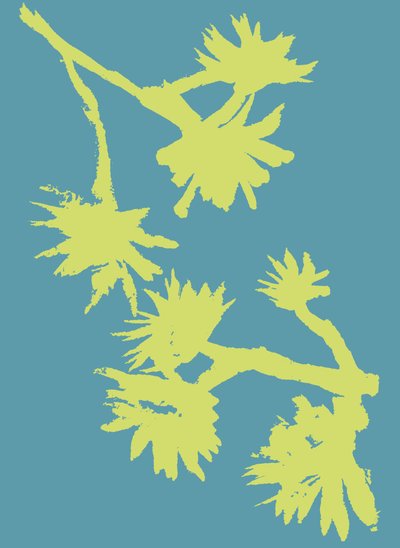 Succulenta_2, 2022 (inchiostro su carta) da Marco Campedelli