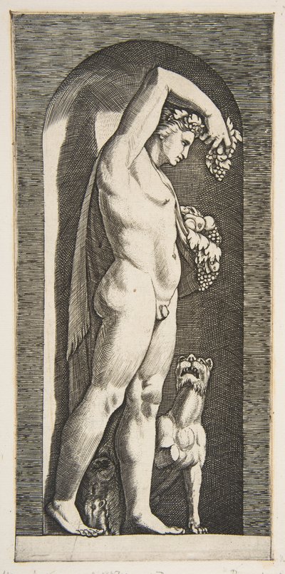 Bacco in piedi in una nicchia che tiene uva nella mano destra alzata, frutta nella sua..., ca. 1515-27 da Marco Dente