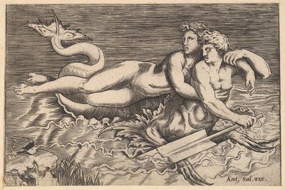 Speculum Romanae Magnificentiae: Un tritone che rapisce una ninfa, XVI secolo da Marco Dente
